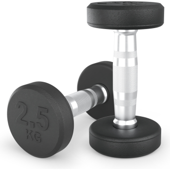 Гантель круглая UNIX FIT PRO обрезиненная 2,5 кг